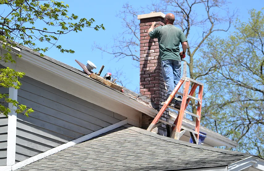 Chimney & Fireplace Inspections Services in Gurnee, IL
